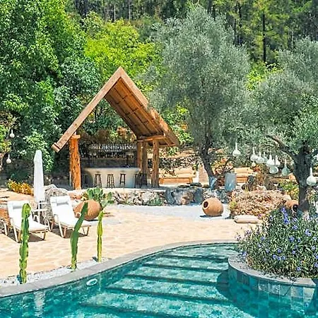 Pure Life Goecek فندق دالامان