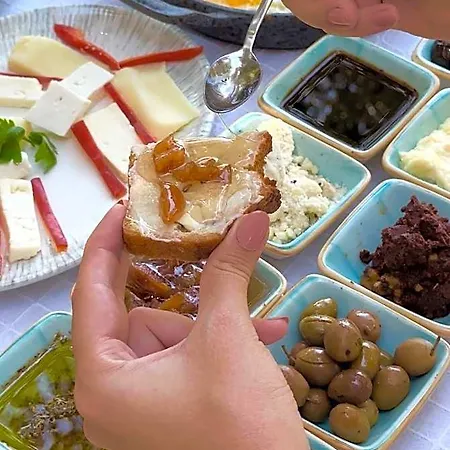 Pure Life Goecek דלמן