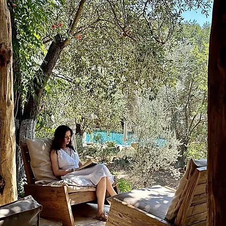 Pure Life Goecek * دالامان