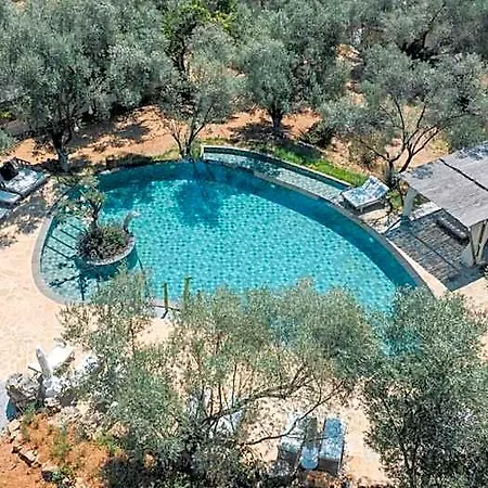 Pure Life Goecek דלמן