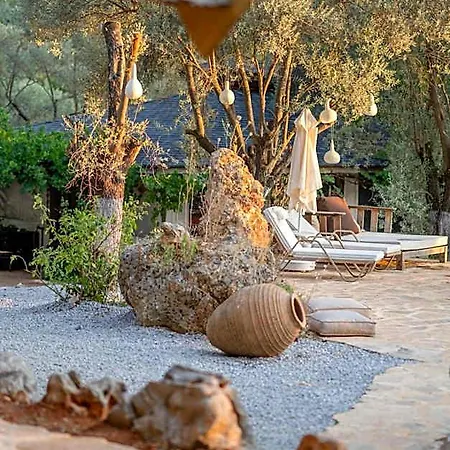 Pure Life Goecek دالامان