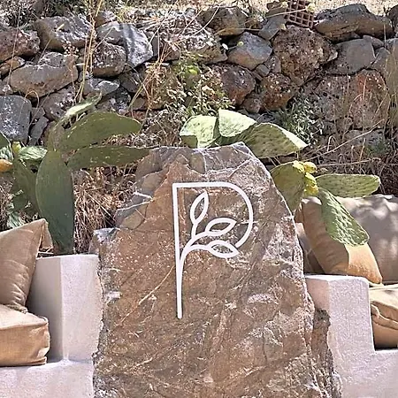 Pure Life Goecek دالامان